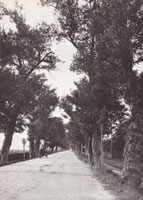 Die Alte Schwabinger 

LandstraÃe