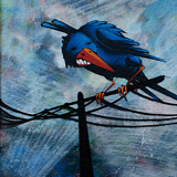 Graffiti in MÃ¼nchen November 2012