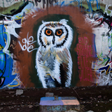 Graffiti in MÃ¼nchen MÃ¤rz 2013